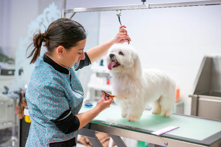 How Long Does It Take to Groom a Dog