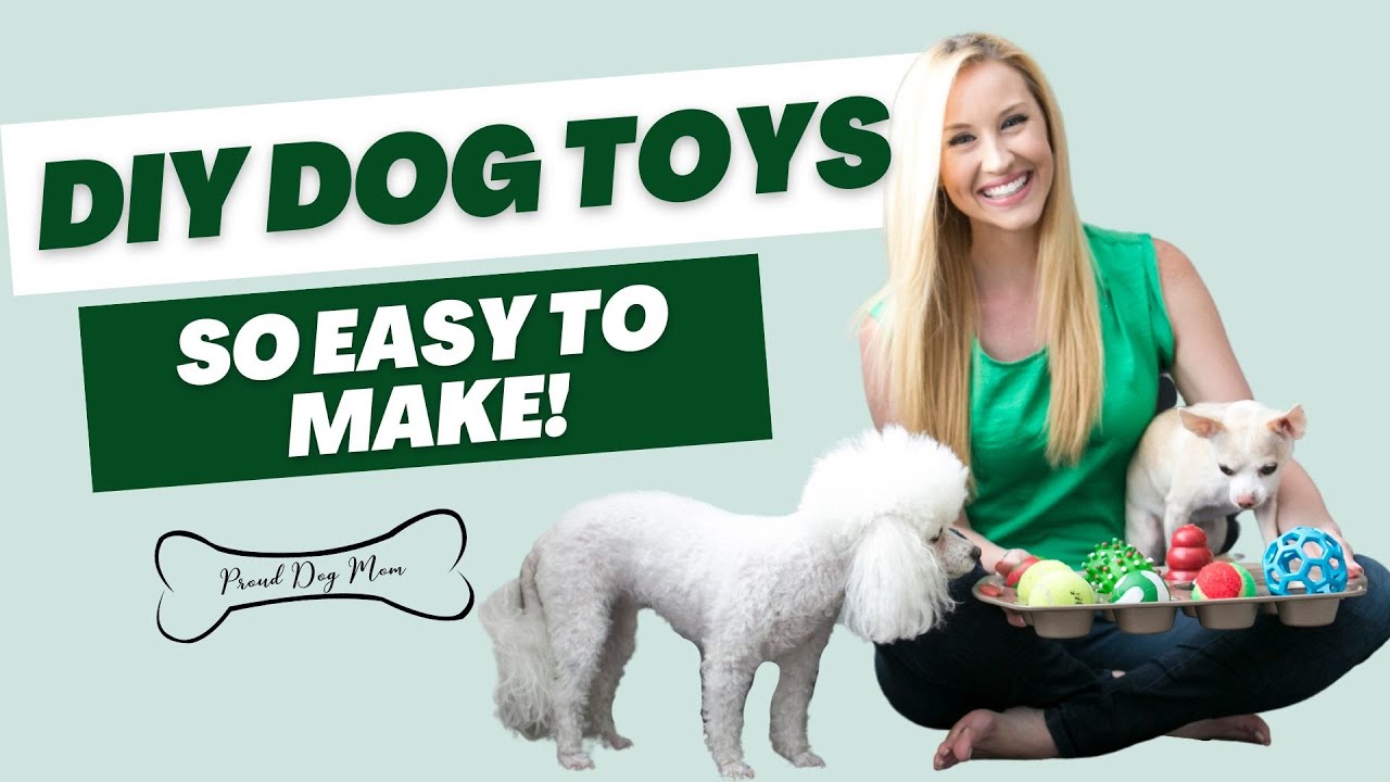 How to Make a Toy for a Dog