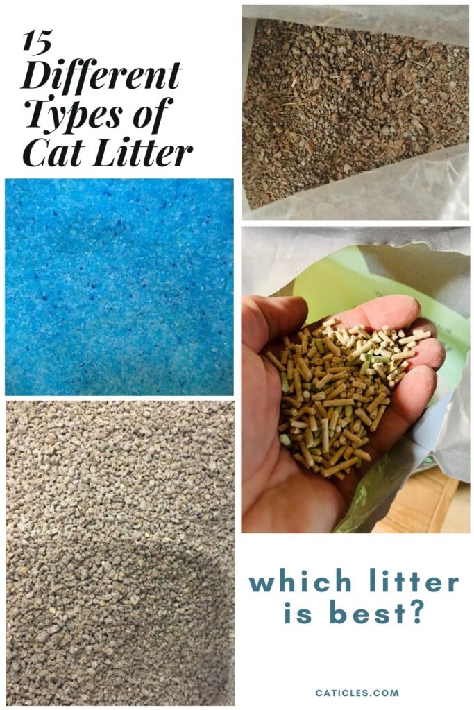 Is Clay Litter Bad for Cats