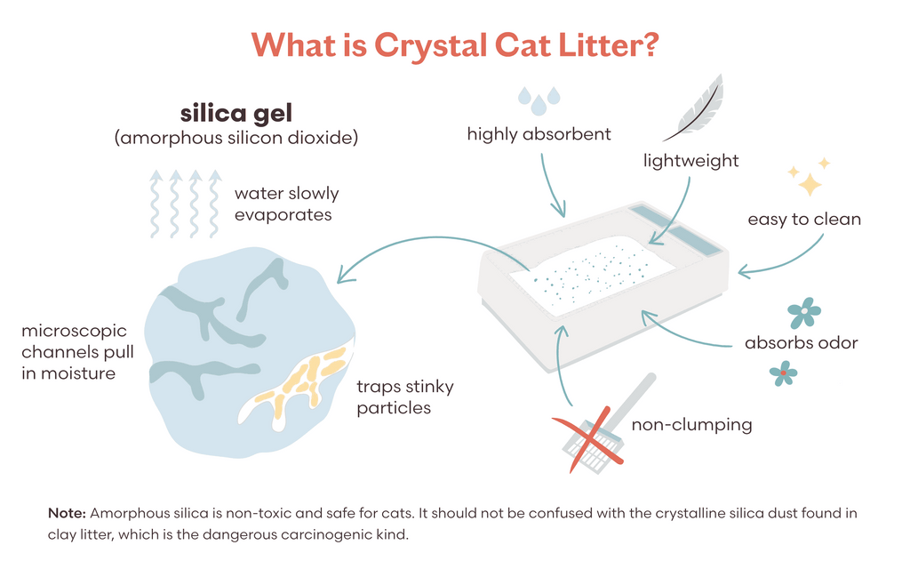 Is Crystal Cat Litter Safe